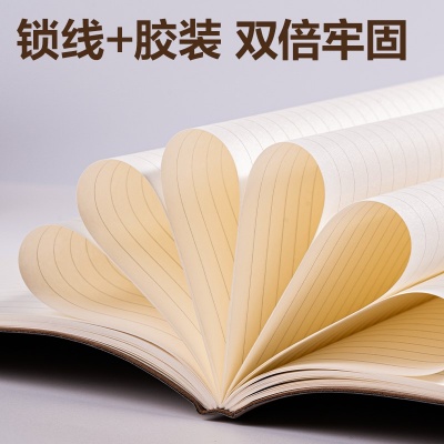 得力6910-16皮面本250mm*175mm100張(藍色)(本)